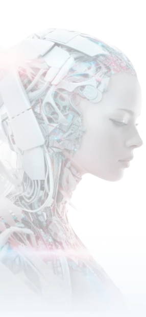 robot ss4 h4