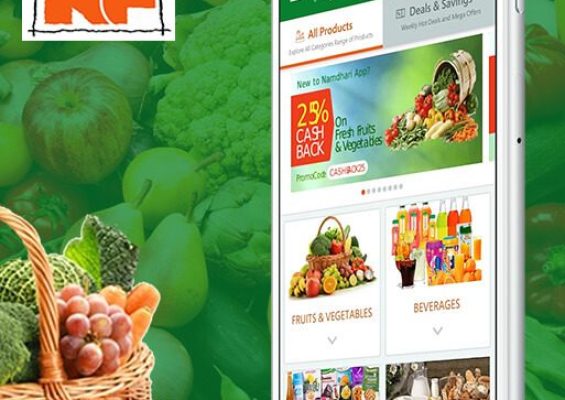 Namdharis-Fresh-App-Portfolio-513x705