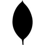 mongodb 150x150 1